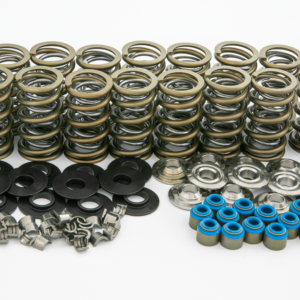 Complete group of all parts .700 dual spring kit for high performance cylinder heads. shown in clear white background.